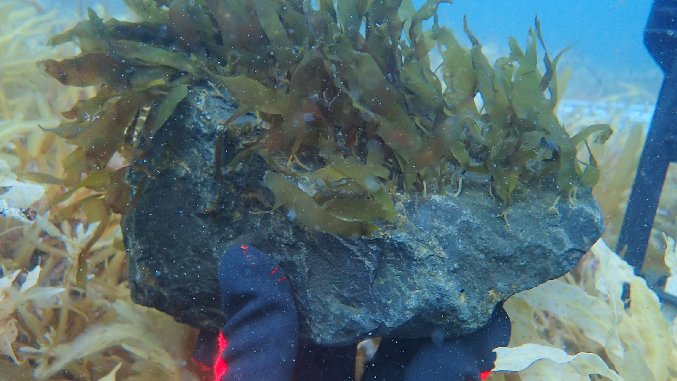 The Green Gravel Concept